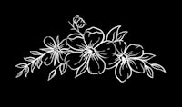 a white drawing of flowers on a black background